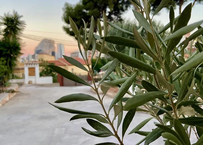 La Casita Vakantiehuis Calpe